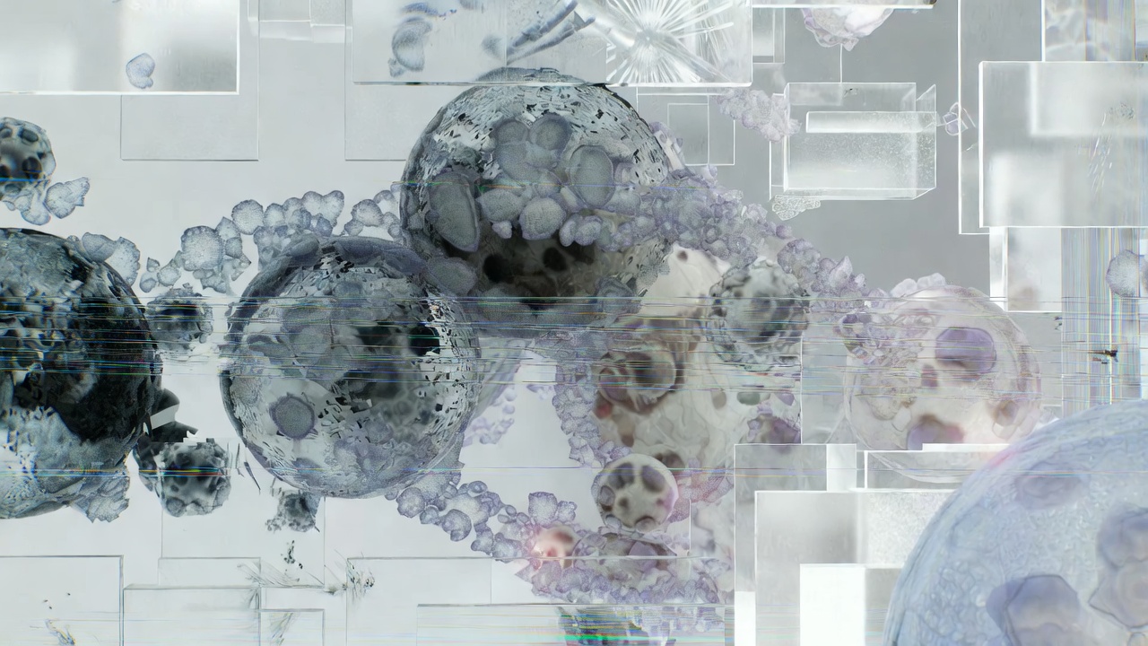 Reconstructed cellular structures as transparent biological volumes